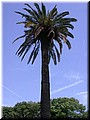 DSCN8048.JPG