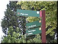 DSCN8049.JPG