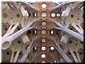 DSCN8086.JPG