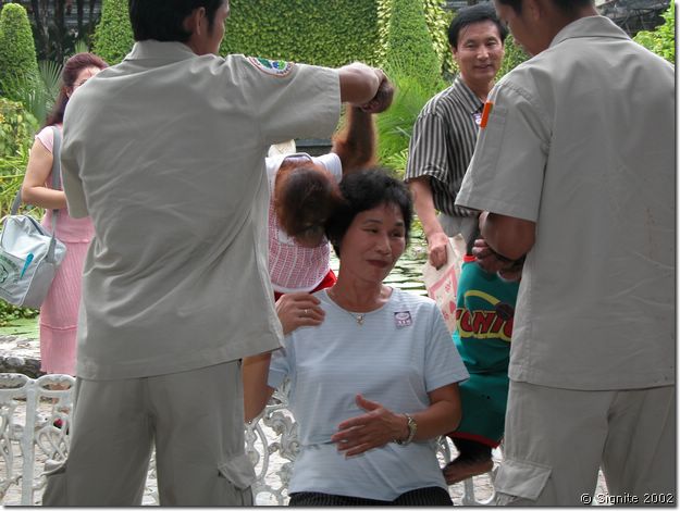 DSCN5345.JPG
