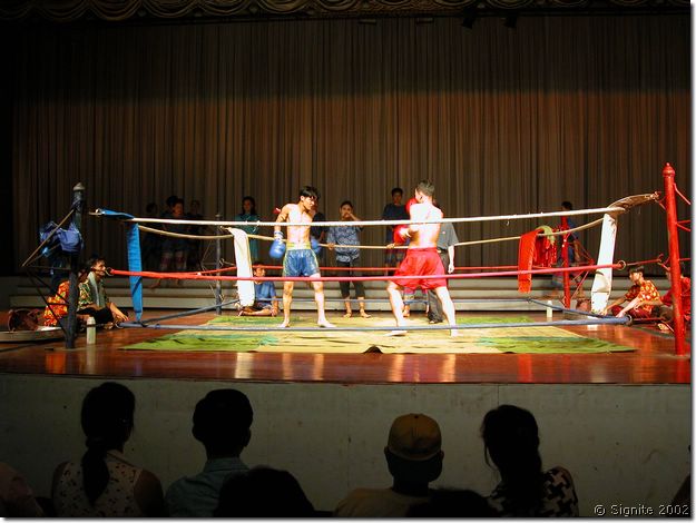 DSCN5412.JPG