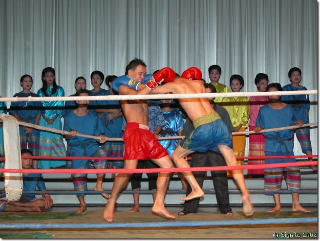 DSCN5418.JPG