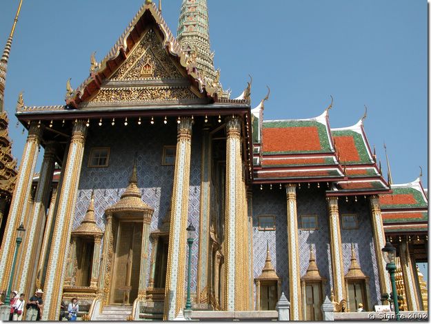 DSCN5711.JPG