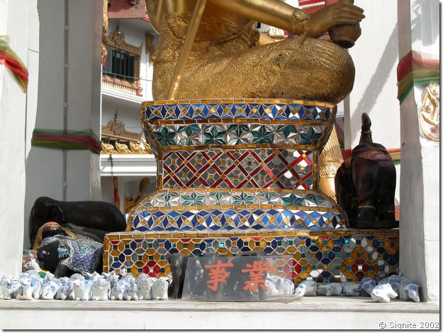DSCN6037.JPG