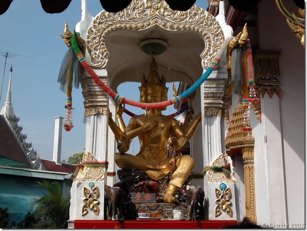 DSCN6039.JPG