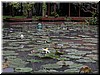 DSCN5094.JPG