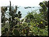 DSCN5146A82.JPG