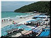 DSCN5146A96.JPG