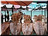 DSCN5146B77.JPG