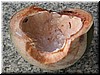 DSCN5146B80.JPG