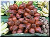 DSCN5146C44.JPG