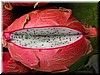 DSCN5146C48.JPG