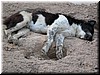 DSCN5146C50.JPG