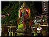 DSCN5146C83.JPG