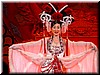 DSCN5146D41.JPG