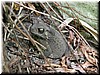 DSCN5251.JPG