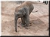 DSCN5302.JPG