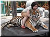 DSCN5329.JPG