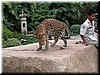 DSCN5336.JPG