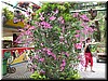DSCN5348.JPG