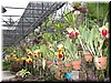 DSCN5354.JPG