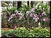 DSCN5355.JPG