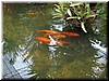 DSCN5358.JPG