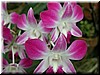 DSCN5364.JPG