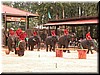 DSCN5459.JPG