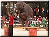 DSCN5469.JPG