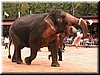 DSCN5476.JPG