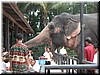 DSCN5479.JPG