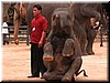 DSCN5480.JPG