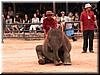 DSCN5481.JPG