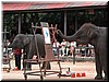 DSCN5483.JPG