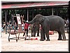 DSCN5485.JPG