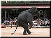 DSCN5491.JPG