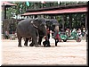 DSCN5493.JPG