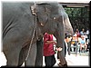 DSCN5494.JPG