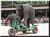 DSCN5498.JPG