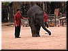 DSCN5501.JPG