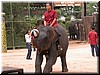 DSCN5504.JPG