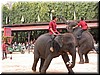 DSCN5510.JPG