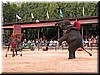 DSCN5511.JPG