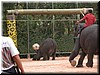 DSCN5517.JPG