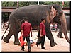 DSCN5520.JPG