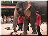 DSCN5521.JPG