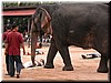 DSCN5522.JPG