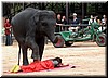 DSCN5526.JPG
