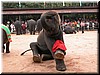 DSCN5535.JPG